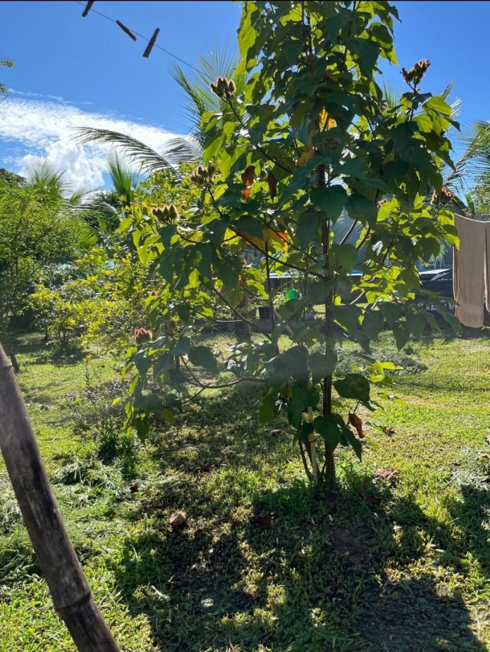 Chacara Completa Com Piscina ,2 Quartos, 20 Pessoas Itariri Exterior foto